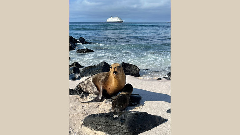 Sealion Nat Geo Endeavor2